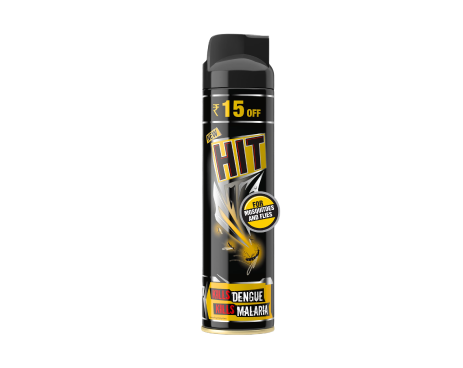 Hit Mosquito And Fly Killer Spray 125 Ml